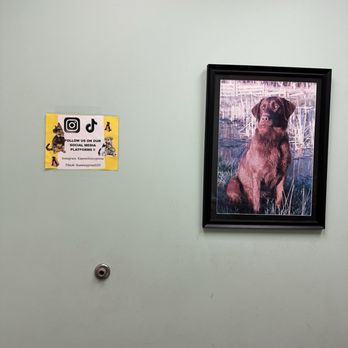 The KAAWS Clinic - Veterinarians Near Me - Houston, Texas The KAAWS Clinic - Veterinarians Near Me - Houston, Texas