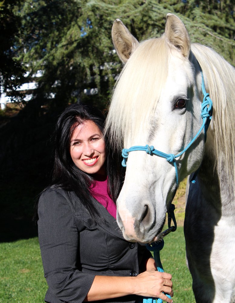 MISSY DENZER MISSY DENZER REAL ESTATE Updated August 2024 Contact Agent 29970 Technology