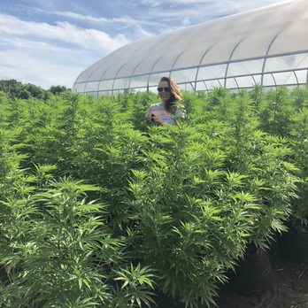 High Hopes Farm - High hopes hemp farm - Vitamins & Supplements Near Me - Marengo, Illinois