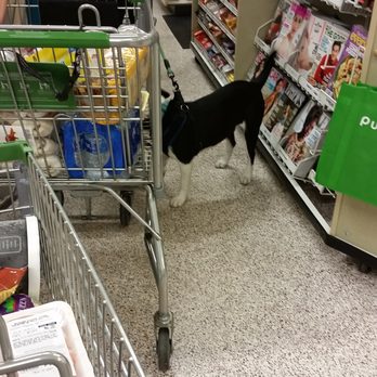 Publix - Grocery Near Me - Miami, Florida Publix - Grocery Near Me - Miami, Florida