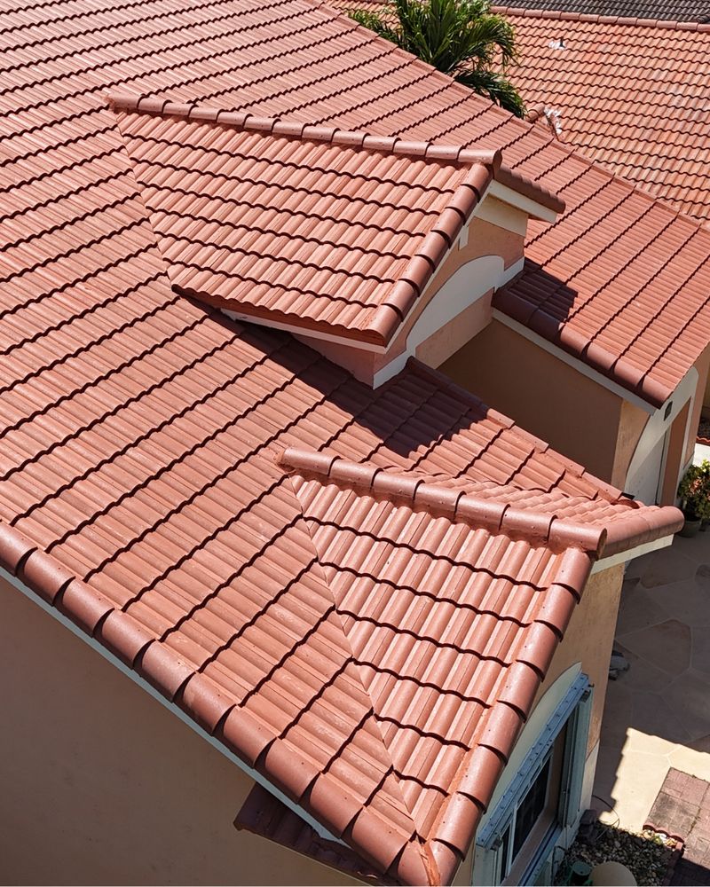 Slide of BluePanther Roofing & Construction