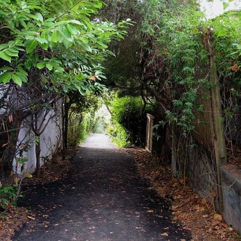 Vine Lane - Hiking Near Me - Berkeley, California Vine Lane - Hiking Near Me - Berkeley, California