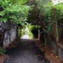 Photo of Vine Lane