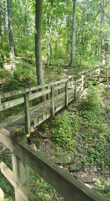 Rock Bridge Memorial State Park by null