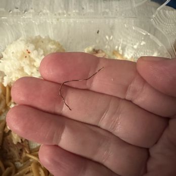 Hukilau - Metal wire inside of a piece of chicken. - Hawaiian Near Me - San Jose, California