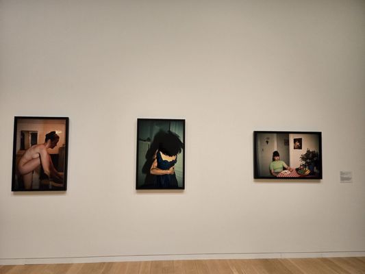Modern Art Museum of Fort Worth by null