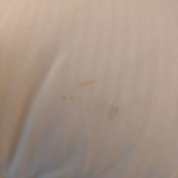 Nugget Casino Resort - A pillow - Casinos Near Me - Sparks, Nevada Nugget Casino Resort - A pillow - Casinos Near Me - Sparks, Nevada