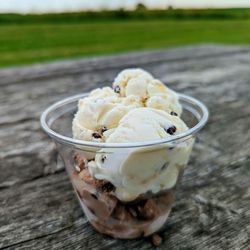 Hewitts Dairy Bar - Sad scoops. $1 a bite.
