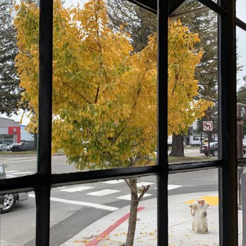 Kirala - Street view from inside the restaurant - Sushi Bars Near Me - Berkeley, California