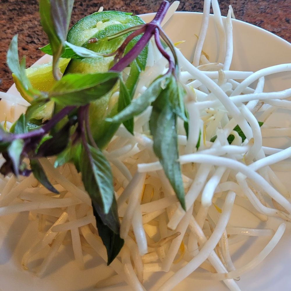 Pho King Good - Side of veggies to add to your Pho. - Vietnamese Near Me - Auburn, California Pho King Good - Side of veggies to add to your Pho. - Vietnamese Near Me - Auburn, California