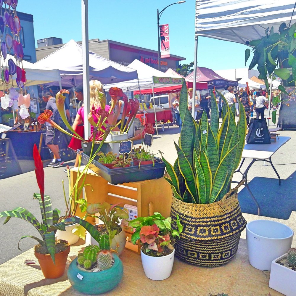 Burlingame Fresh Market - Farmers Market Near Me - Burlingame, California