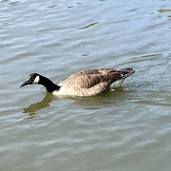 Hernshead - 05/07/21 - Parks Near Me - New York, New York