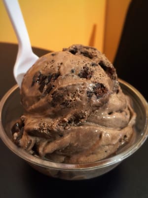 Dippity Do Dahs Homemade Ice Cream by null