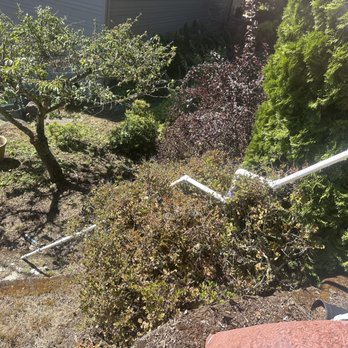 Daniel V Landscaping - Landscaping Near Me