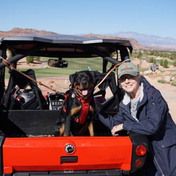 Off Leash K9 Training - Southern Utah - At 6 months - first time out in the CanAm! He loved it. - Pet Training Near Me Off Leash K9 Training - Southern Utah - At 6 months - first time out in the CanAm! He loved it. - Pet Training Near Me