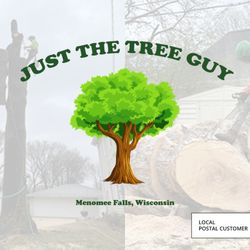 Just The Tree Guy