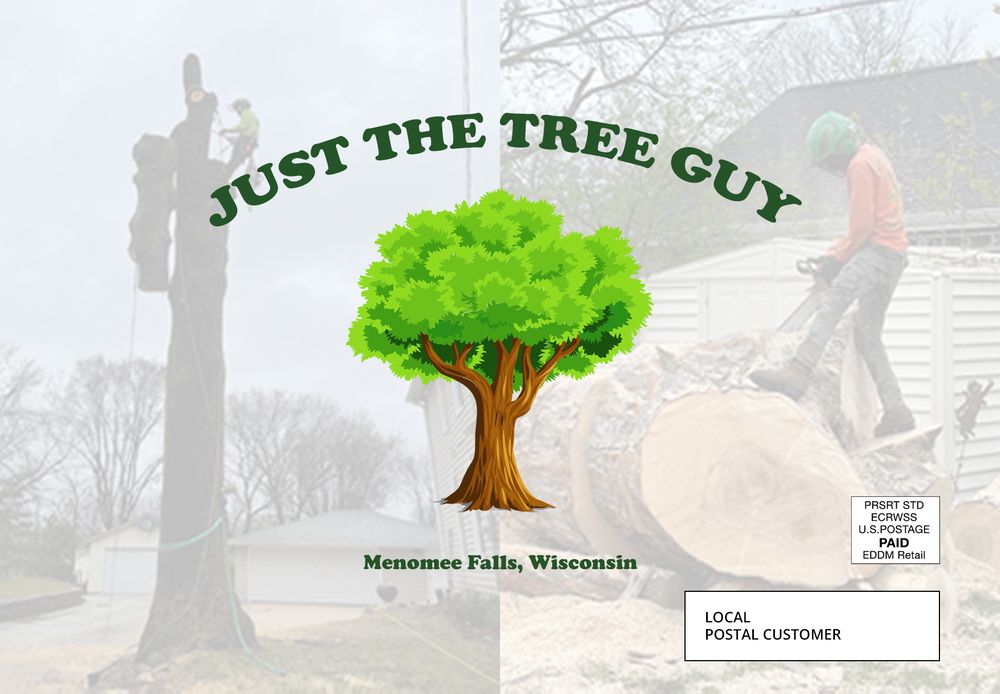 Just The Tree Guy - tree service in Menomonee Falls, WI