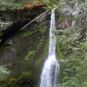 Marymere Falls - Hiking Near Me - Port Angeles, Washington Marymere Falls - Hiking Near Me - Port Angeles, Washington