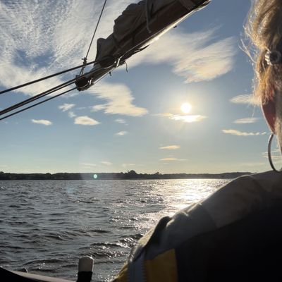 Sail Selina II by null