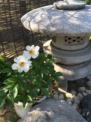 Shukkeien Garden by null