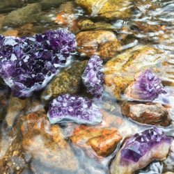 The Crystal Garden - Thank you to sales associate Emmy for helping me purchase this beautiful Amethyst (top left)!