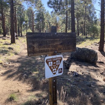 Basecamp at Snowbowl - Ski Resorts Near Me - Flagstaff, Arizona Basecamp at Snowbowl - Ski Resorts Near Me - Flagstaff, Arizona