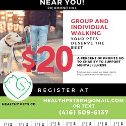 Healthy Pets