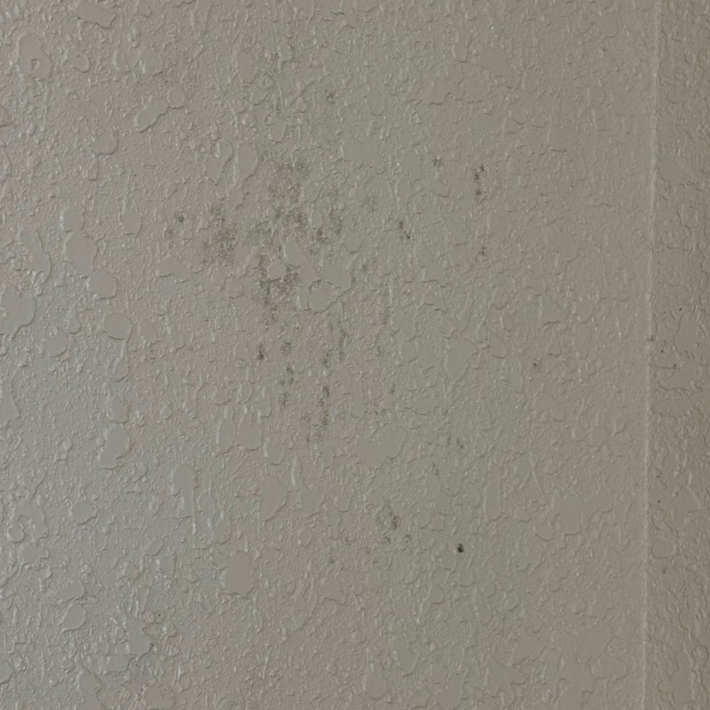 Quality Inn - Hotels Near Me - Selma, North Carolina Quality Inn - Hotels Near Me - Selma, North Carolina
