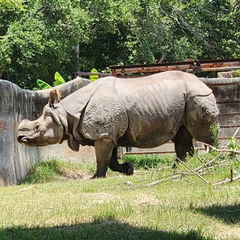 Baton Rouge Zoo - Zoos Near Me - Baton Rouge, Louisiana