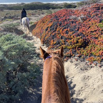 Horse N Around Trail Rides - Horseback Riding Near Me - Bodega, California