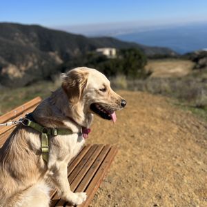 Tuna Canyon Park on Yelp