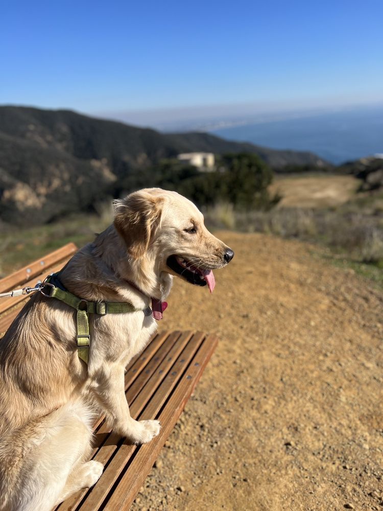 Tuna Canyon Park Logo