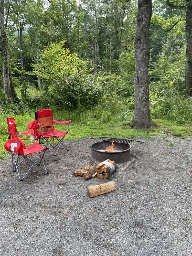 DAVIDSON RIVER CAMPGROUND Updated October 2024 18 Photos & 14 Reviews 1 Davidson River Cir