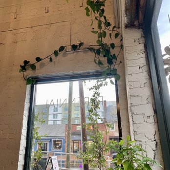 Perennial - Interior - Coffee & Tea Near Me - Chapel Hill, North Carolina Perennial - Interior - Coffee & Tea Near Me - Chapel Hill, North Carolina