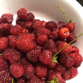 Johnson's Farm Produce - Raspberries rotted before the evening and were in air conditioning all day. $18 for a basket and they are rotten. - Fruits & Veggies Near Me - Hobart, Indiana