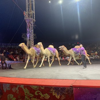 Universe Soul Circus - Arts & Entertainment Near Me - Atlanta, Georgia Universe Soul Circus - Arts & Entertainment Near Me - Atlanta, Georgia