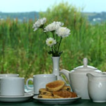 National Wetlands Centre - Enjoy a cuppa in the Estuary Cafe. - Active Life Near Me - Llanelli, CMN National Wetlands Centre - Enjoy a cuppa in the Estuary Cafe. - Active Life Near Me - Llanelli, CMN