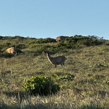Bodega Bay Inn - Hotels Near Me - Bodega Bay, California