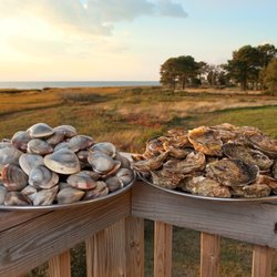 Cherrystone Aqua Farms - Premium Clams & Oysters