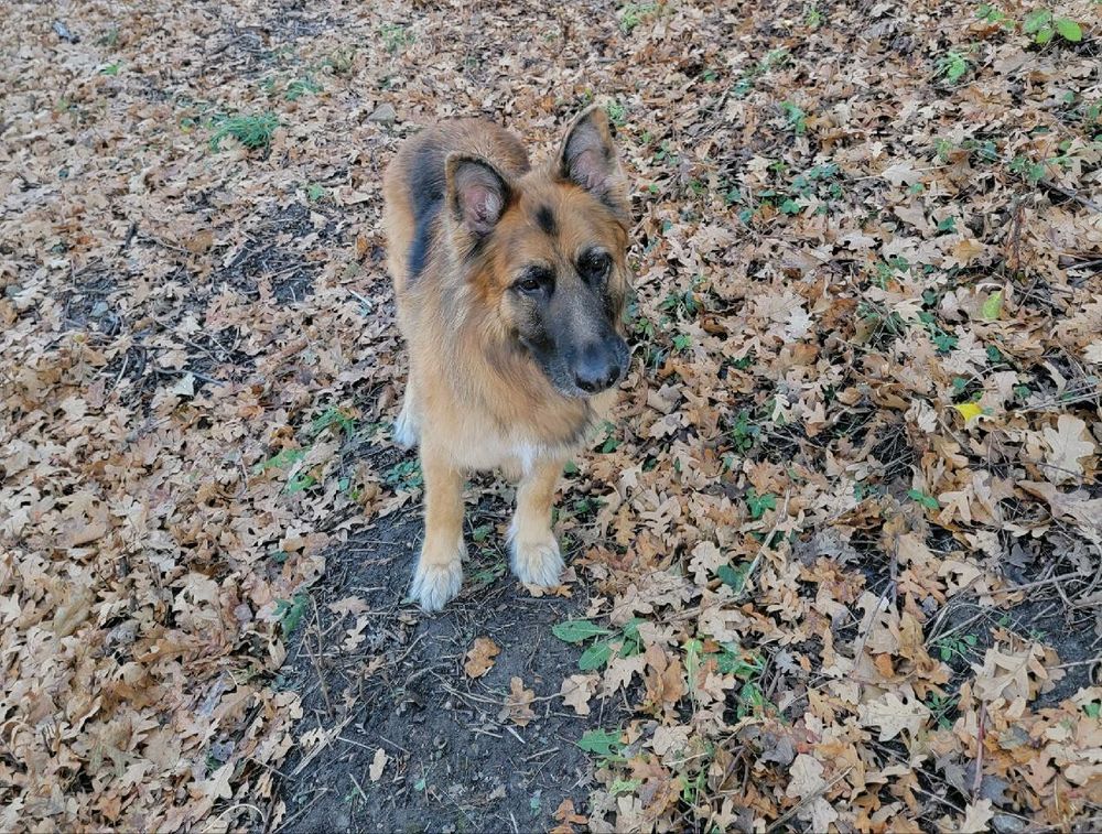 HIGHLAND HILLS PET HOSPITAL Updated October 2024 5592 W 19th St