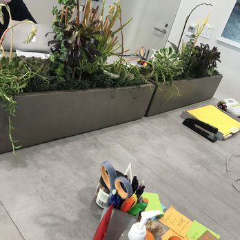 Universal Plants - Indoor Landscaping Near Me Universal Plants - Indoor Landscaping Near Me