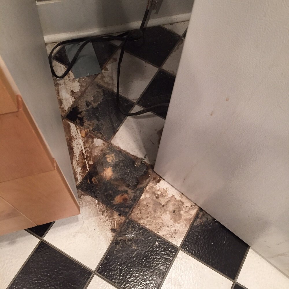 Nest DC - Mold and dirt under fridge - Property Management Near Me - Washington, DC, District of Columbia