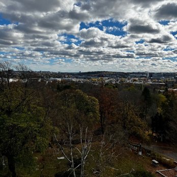 Mount Auburn Cemetery - Views from top of tower - Funeral Services & Cemeteries Near Me - Cambridge, Massachusetts
