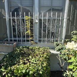 Before Before