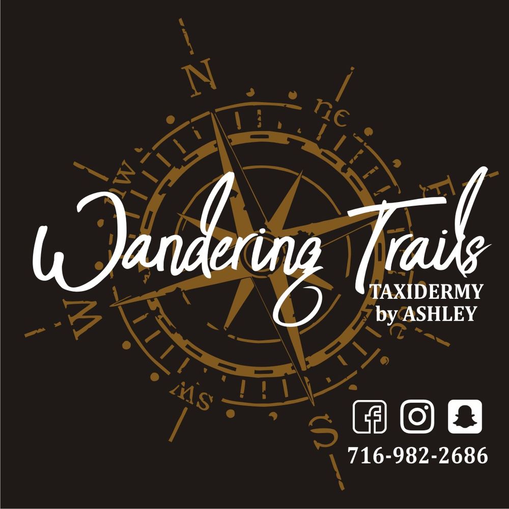 Wandering Trails Taxidermy by Ashley - taxidermy in Akron, NY
