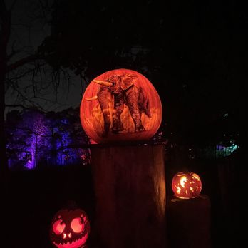 Jack-O-Lantern Spectacular - Festivals Near Me - Providence, Rhode Island