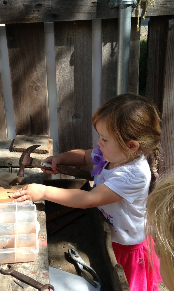 Tree House Hollow - childcare center in Sebastopol, CA