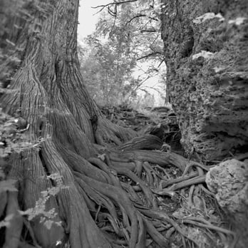 Krause Springs - Campgrounds Near Me - Spicewood, Texas