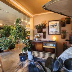 Sierra Water Plant Shop - Love this place
