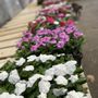 Photo of Bergen County Garden Center